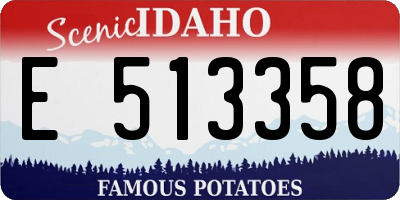 ID license plate E513358