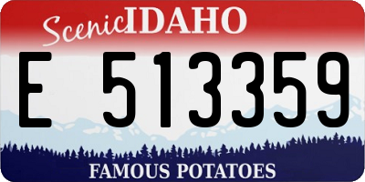 ID license plate E513359