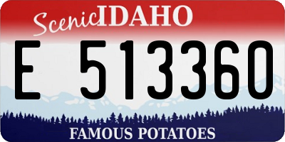 ID license plate E513360