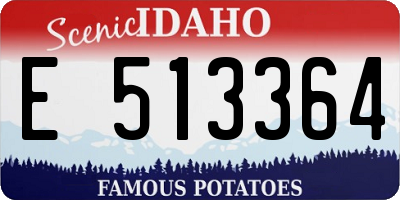 ID license plate E513364