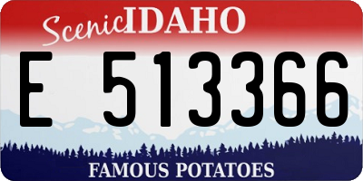 ID license plate E513366