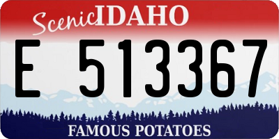 ID license plate E513367