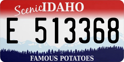 ID license plate E513368