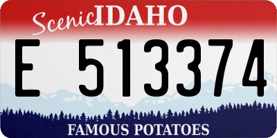 ID license plate E513374