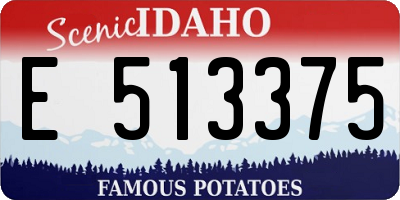 ID license plate E513375