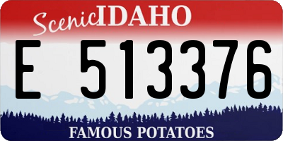 ID license plate E513376