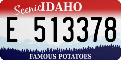 ID license plate E513378