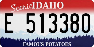 ID license plate E513380