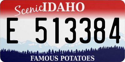 ID license plate E513384