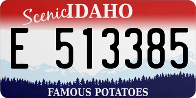 ID license plate E513385