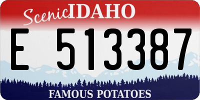 ID license plate E513387