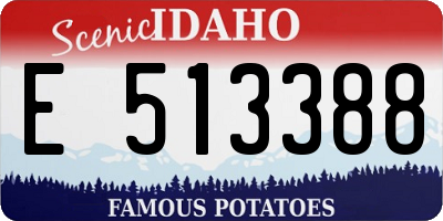 ID license plate E513388