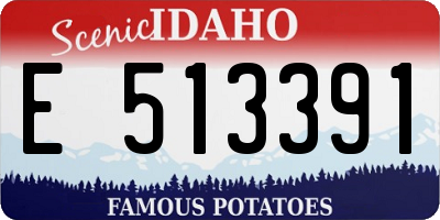 ID license plate E513391