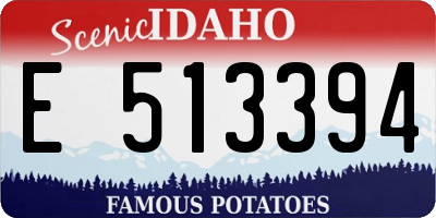 ID license plate E513394