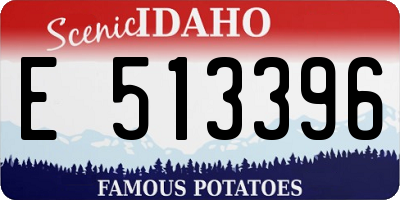 ID license plate E513396