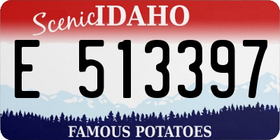 ID license plate E513397