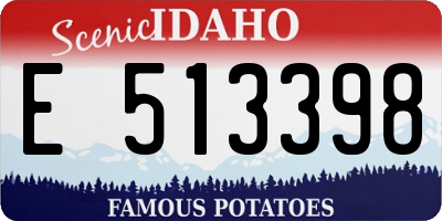ID license plate E513398