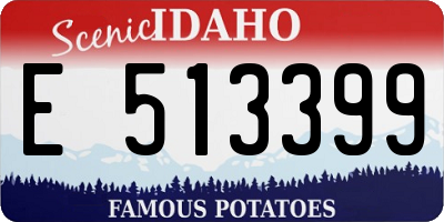 ID license plate E513399