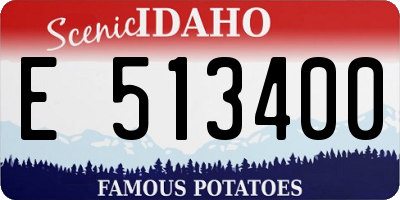 ID license plate E513400