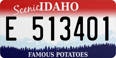 ID license plate E513401