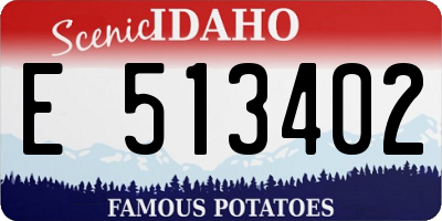 ID license plate E513402
