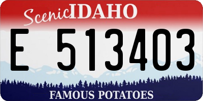 ID license plate E513403
