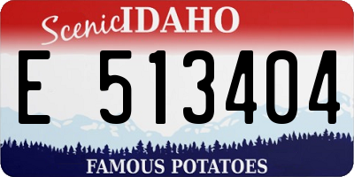 ID license plate E513404