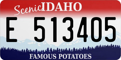 ID license plate E513405