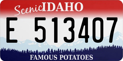 ID license plate E513407