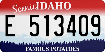 ID license plate E513409