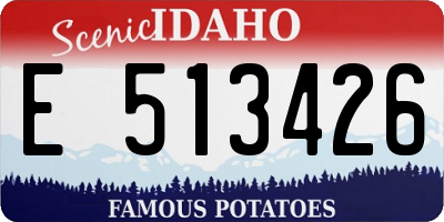 ID license plate E513426