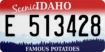 ID license plate E513428