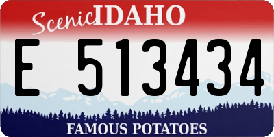 ID license plate E513434