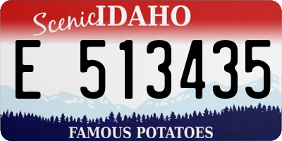 ID license plate E513435