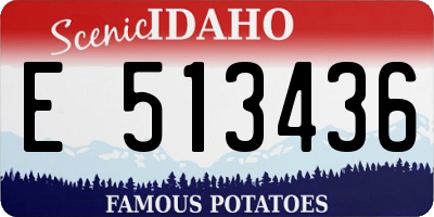 ID license plate E513436