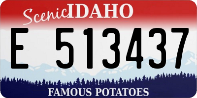 ID license plate E513437