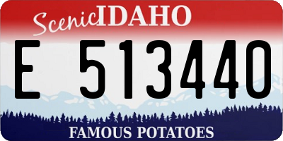 ID license plate E513440
