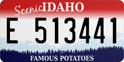 ID license plate E513441