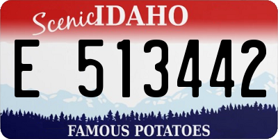 ID license plate E513442
