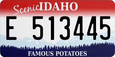 ID license plate E513445