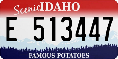ID license plate E513447