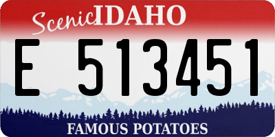 ID license plate E513451