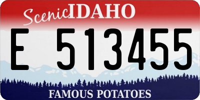 ID license plate E513455