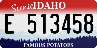 ID license plate E513458