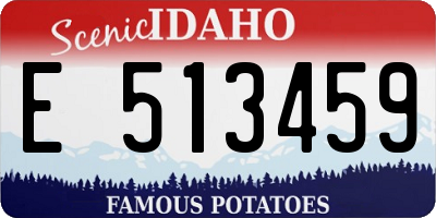 ID license plate E513459