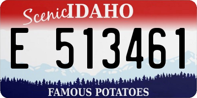 ID license plate E513461