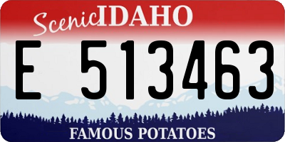 ID license plate E513463