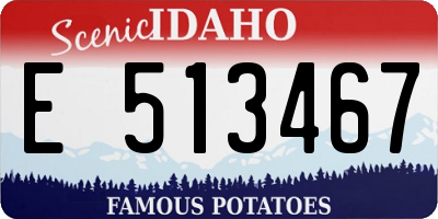 ID license plate E513467