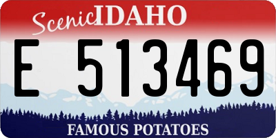 ID license plate E513469