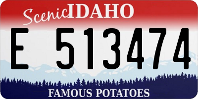 ID license plate E513474
